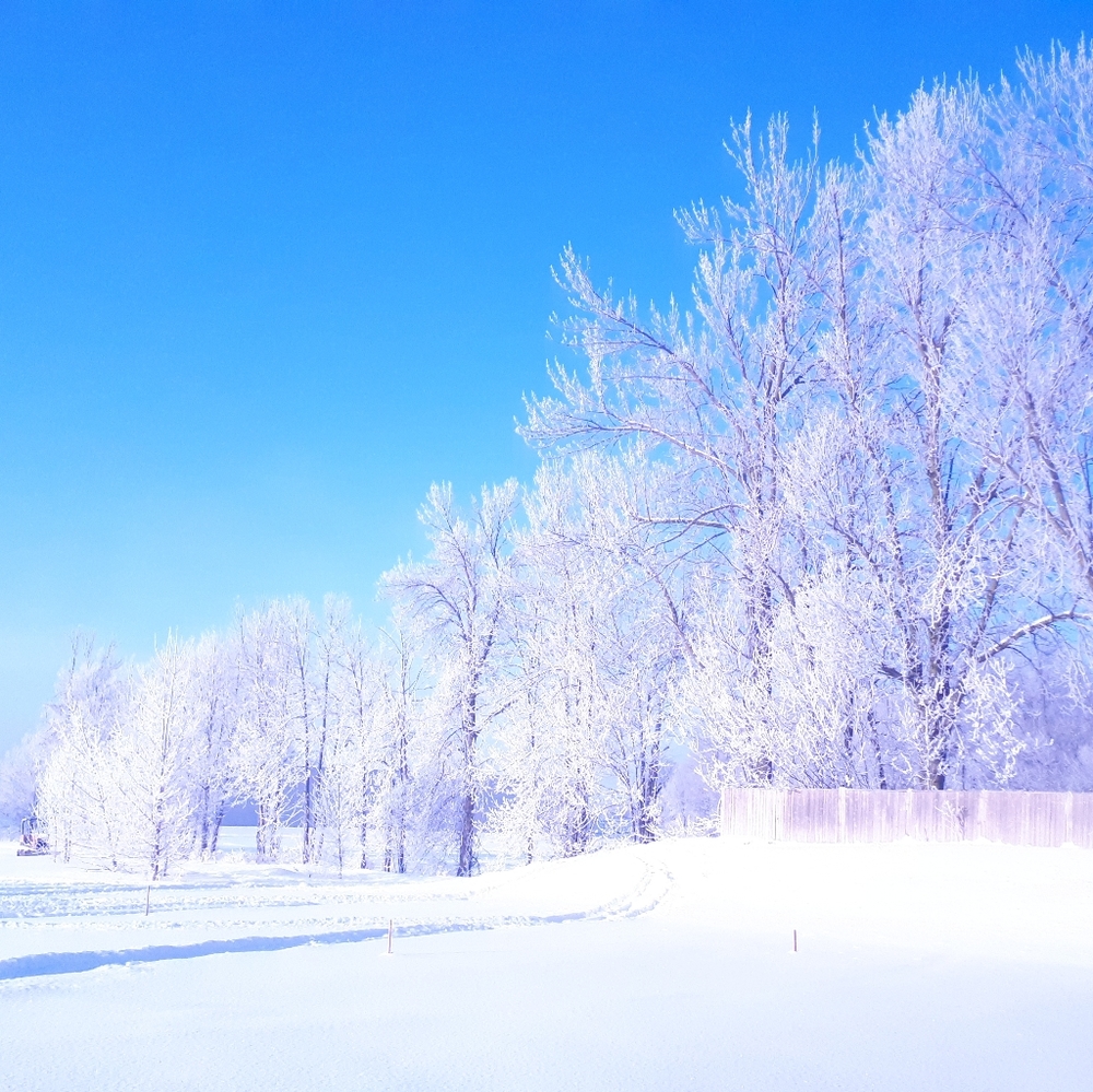 Meet your Posher, Becky